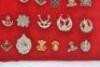 Large Display of British Infantry of the Line Cap Badges - 6