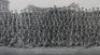 Panoramic Regimental Photograph Durham Light Infantry 1919 - 2