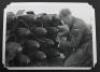 Photograph Album, World War II images, excellent quality ex Imperial War Museum, of Aircraft,many with "D-Day" markings - 3