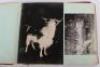Photograph Album with images of ther Delhi Durbar, troops lining streets, Elephants, sacred cows belonging to Indian princes, Sabatha parade ground etc - 17