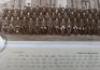 Hampshire Regiment, selection of group and other photographs - 19