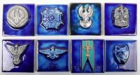 Collection of Glazed Tiles of Polish Regimental Badges and Insignia