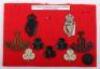 Selection of 18th (County of London) Battalion ‘London Irish Rifles’ Badges