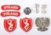 WW2 Polish Badges and Insignia