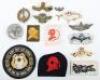 Grouping of Naval Divers and Frogmen Badges and Insignia