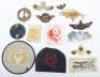 Grouping of Naval Divers and Frogmen Badges and Insignia - 2