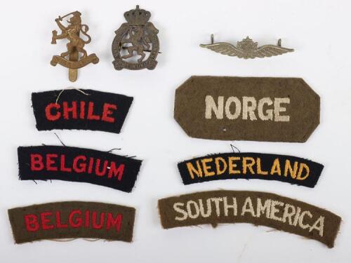 Grouping of Allied Armies in Exile Badges and Insignia