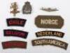 Grouping of Allied Armies in Exile Badges and Insignia