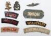 Grouping of Allied Armies in Exile Badges and Insignia - 2