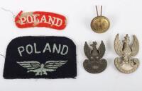 WW2 Polish Badge and Insignia Grouping