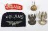 WW2 Polish Badge and Insignia Grouping