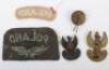 WW2 Polish Badge and Insignia Grouping - 2