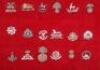 Large Display of British Infantry of the Line Cap Badges - 4