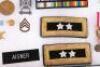 American Major Generals Named Distinguished Service Medal and Insignia Grouping - 7