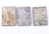 3x Third Reich SA (Sturmabteilung) Gruppe Thuringen Ski Competition Badges - 2