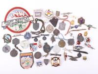 Grouping of Mostly Skiing Badges and Insignia