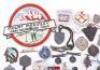 Grouping of Mostly Skiing Badges and Insignia - 2