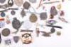 Grouping of Mostly Skiing Badges and Insignia - 4