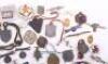 Grouping of Mostly Skiing Badges and Insignia - 5