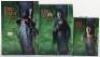 Sideshow Weta Collectables Lord of The Rings Frodo Baggins 1/6 Scale - 2