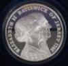 Elizabeth II, Jersey 2011, Lifetime of Service, 5oz Silver coin - 3