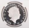UK, Elizabeth II, Britannia, 2015, NGC PF 69 Ultra cameo - 4