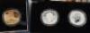 UK, Elizabeth II, 2011 Britannia four coin set, Proof - 2