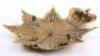 Victorian Hampshire Regiment Officers Home Service Helmet Plate - 3