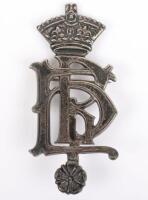 Victorian Hampshire Regiment Officers Pagri Badge