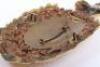 Rare Victorian Royal Dockyard Battalion Officers 1847 Pattern Albert Shako Plate - 3