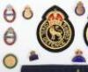 Board of WW2 British Home Front / Civil Defence Badges and Insignia - 3