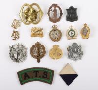 Grouping of Badges and Insignia of Womens Interest