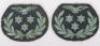 Facing Pair of Royal Air Force Air Crew II Sleeve Badges