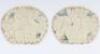 Facing Pair of Royal Air Force Air Crew II Sleeve Badges - 2