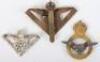 Royal Air Force Officers Busby Badge - 2