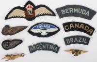 WW2 Royal New Zealand Air Force Pilots Wing