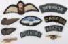 WW2 Royal New Zealand Air Force Pilots Wing