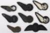 Grouping of Royal Air Force Tunic Wings - 2