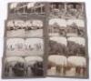 Great War Stereoviews - 2