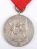 Third Reich Entry into Austria (Austrian Anschluss) 13th March 1938 Medal - 3