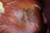WW2 USAAF Officers Peaked 50 Missions Style Crusher Cap by Bancroft - 9