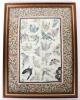 A Chinese silk embroidery of butterflies - 2