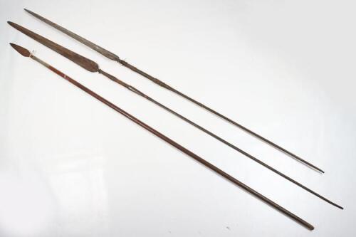 Malayan Spear