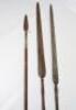 Malayan Spear - 2