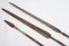 Malayan Spear - 3