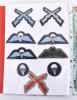 Quantity of Insignia of Royal Air Force Interest - 3