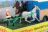 French Dinky Toys 571 Transport Saviem Horse Box and Sulky - 2