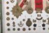 Impressive Victorian Display Board of British Regimental Badges - 3