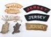 Grouping of Badges and Insignia of Hampshire Regiment / Channel Islands Interest - 2