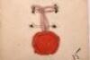 Rare WW1 1916 Sealed Pattern Royal Naval Division (R.N.D) Shoulder Title - 7